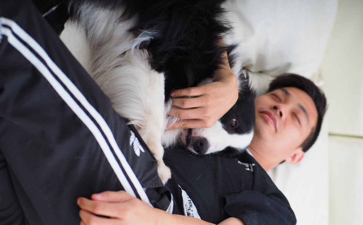 犬类群体中有一条社会行为法则：食物的所有权高于统治关系