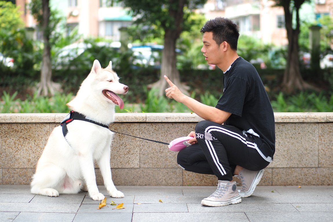 用绳子拉开狗狗，拉开后要放松绳子只用嘴巴说NO是无意义的，有行动，才能让狗狗关联…