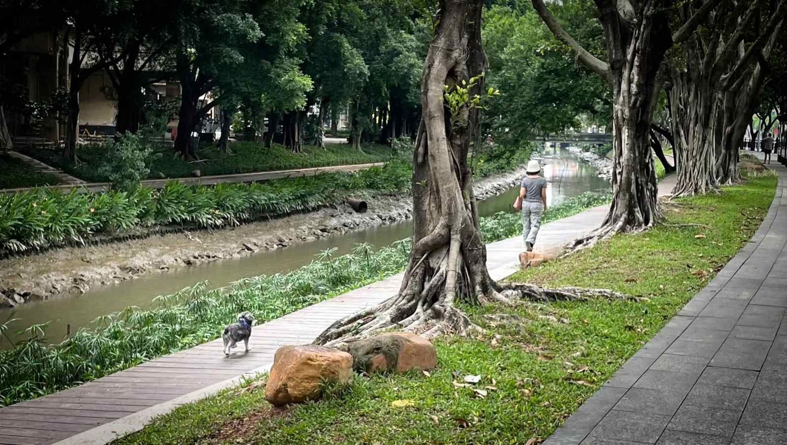 幼犬晚上睡觉会不会怕冷?